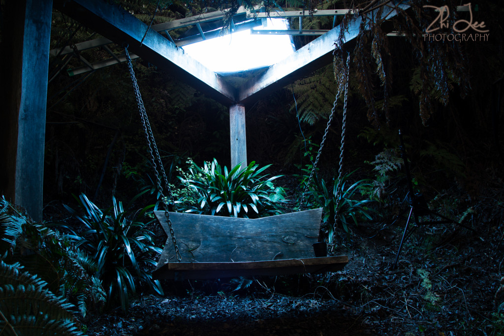 A 80cm x 120cm strobe with blue cellophane in front of the outer baffle, prepped cautiously on a ladder on top of the pergola.  This gives off a blueish light, perfect for the night lighting we wanted to create.