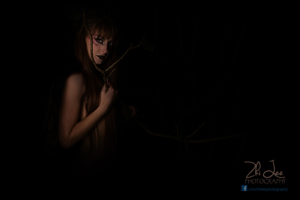 Fallen Dark Angel