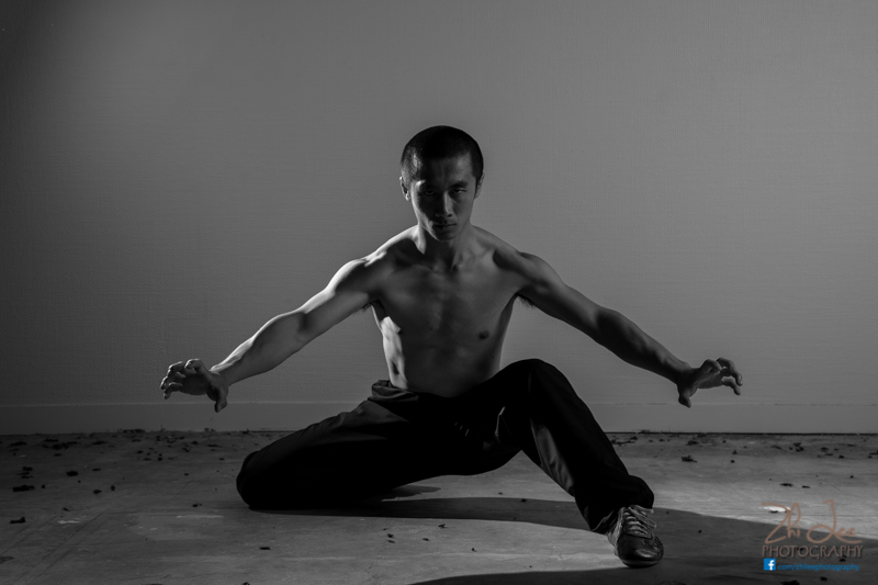 Promoting Chinese Wushu