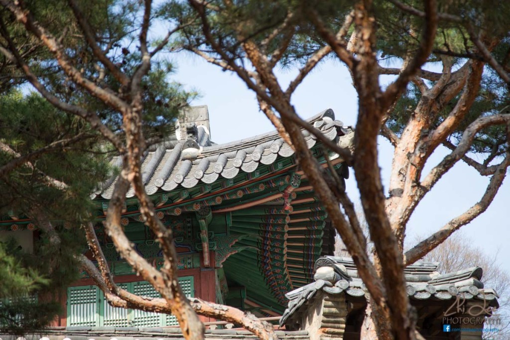 Incredibly detailed roof tiles