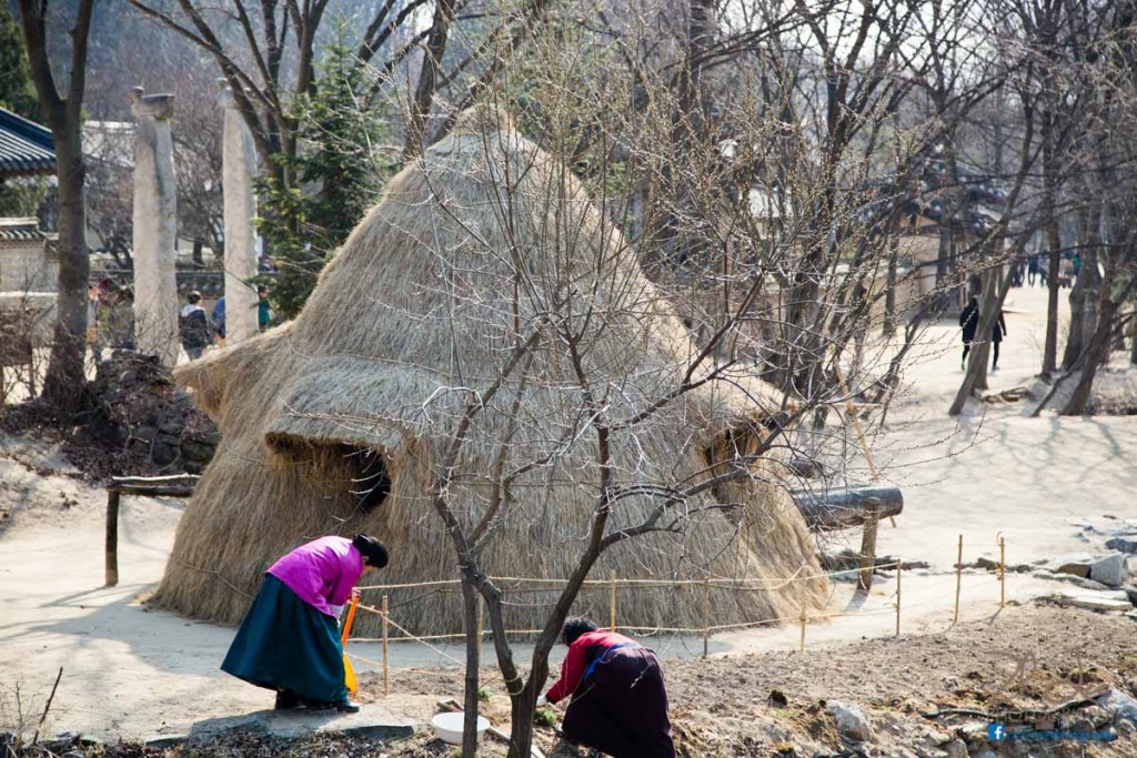 Village Life at Nami Island