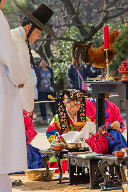Traditional Wedding Ceremony at the Korean Folk Village
