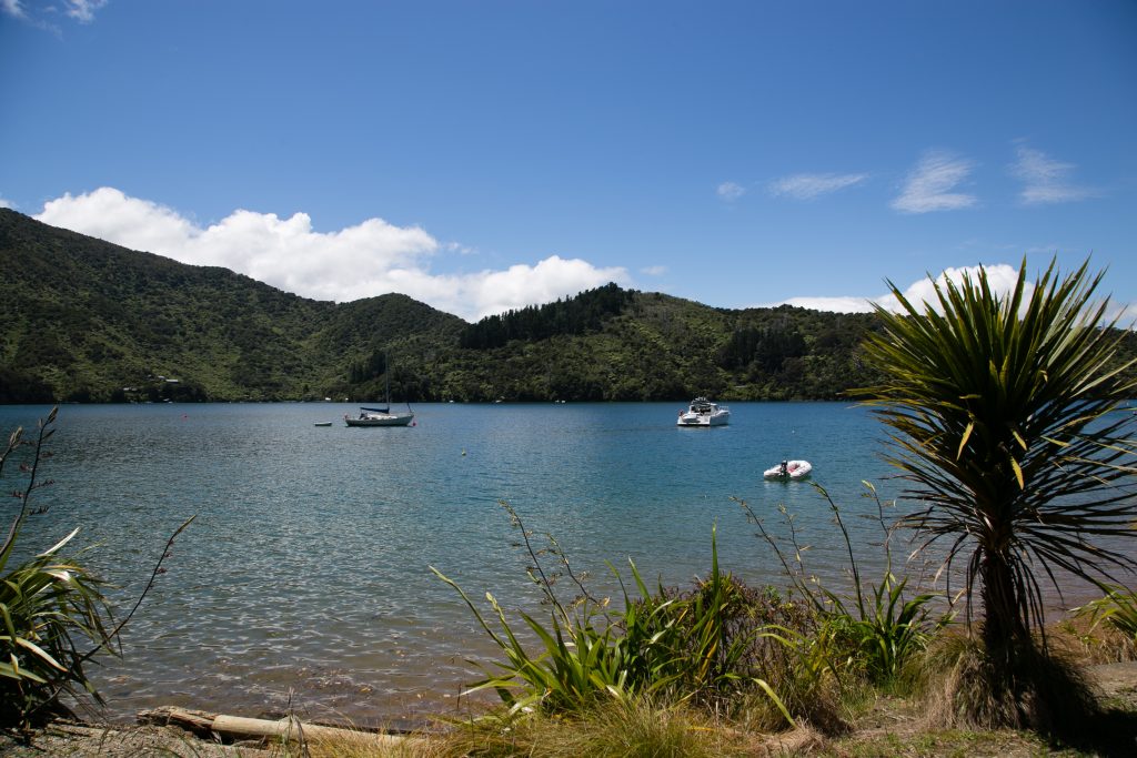 Marlborough Sounds on a Sunny Summer's Day