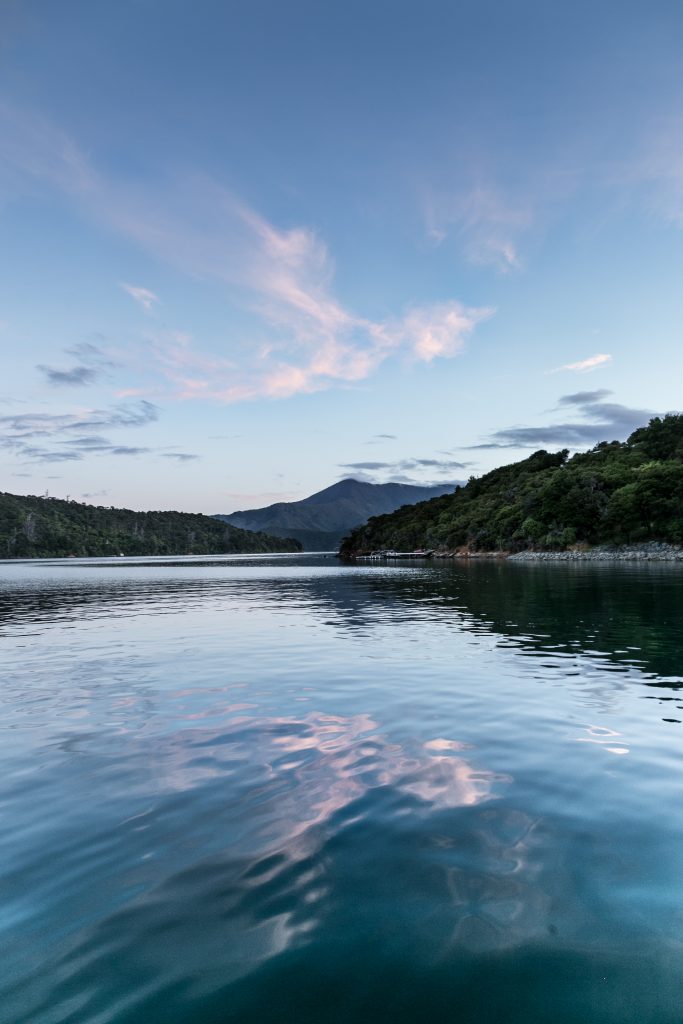 Marlborough Sounds Summer's Evening